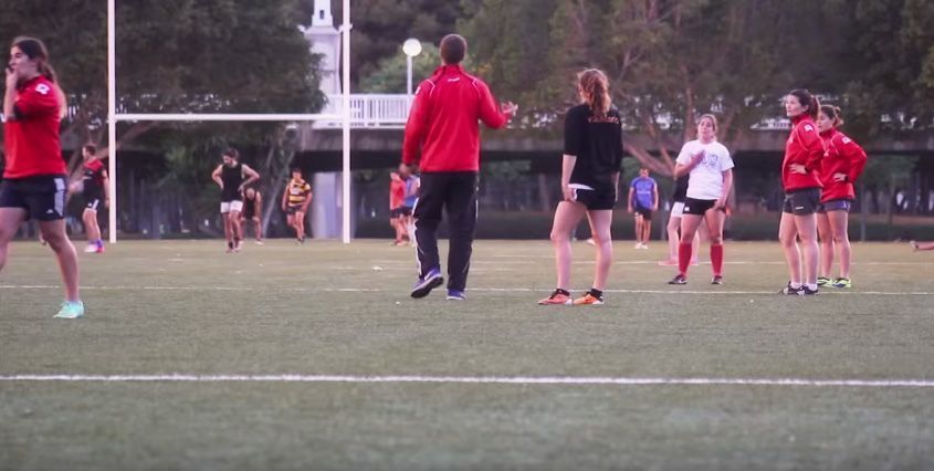 Experto Coaching de Equipos