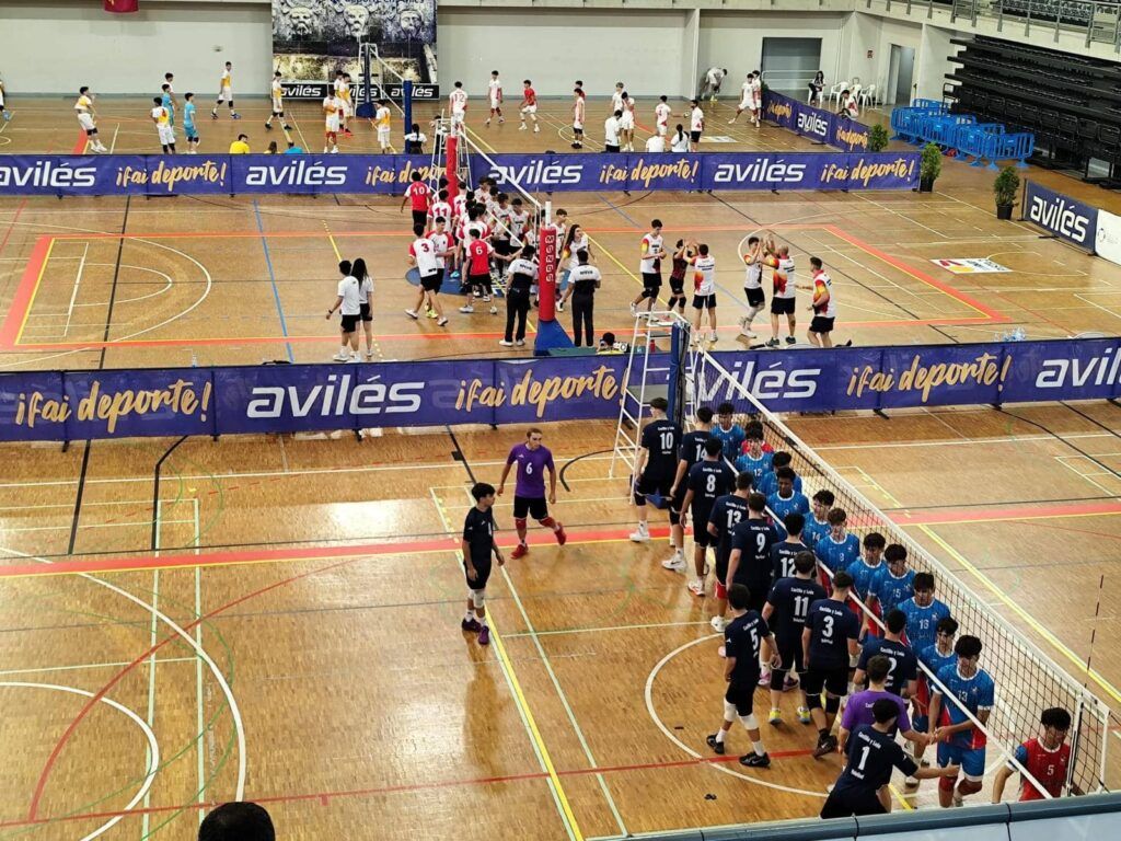 Cesa - Trabajo de psicología de equipo de voley en Castilla y León