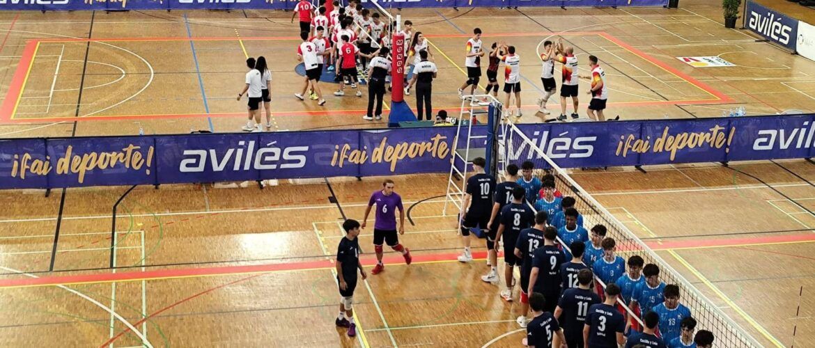 Cesa - Trabajo de psicología de equipo de voley en Castilla y León